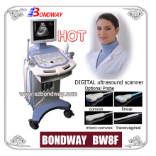 Trolley Style Ultrasound Imaging System (BW8F)