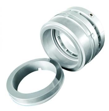 Multi-Spring Rotary Mechanical Seal