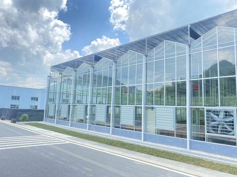 Modern Dağ Tarımını Güçlendirmek: Qingcheng Tarımın Akıllı Cam Sera Projesi Youyang'da Başlıyor Empowering Modern Mountain Agriculture: Qingcheng Agriculture’s Smart Glass Greenhouse Project Launches in Youyang