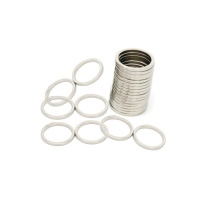 thin ring permanent Rare earth Neodymium Magnet