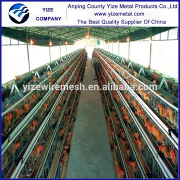 China wholesale chicken broiler feeding equipment layer poultry rearing cages