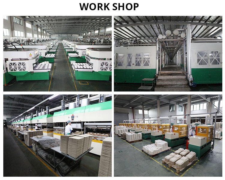 Two compartment bagasse compostable biodegradable packaging box