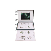 Classification and Types of Plants in Herbarium: An Overview of 50,209.08