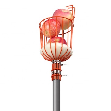 Dried Blueberry Picker: High-Altitude Blue Berry Fruit Picker