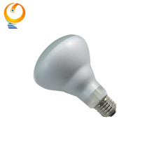 Tungsten Filament E26 BR30 Frosted Reflector Bulb