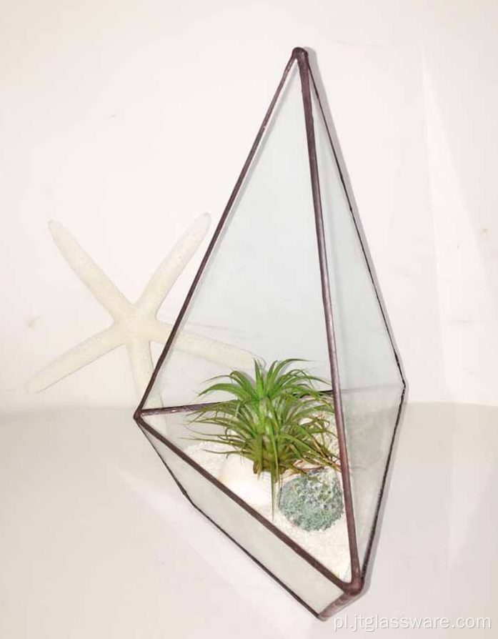 Kwadratowa szklana sadzarka do terrarium w stylu terrarium