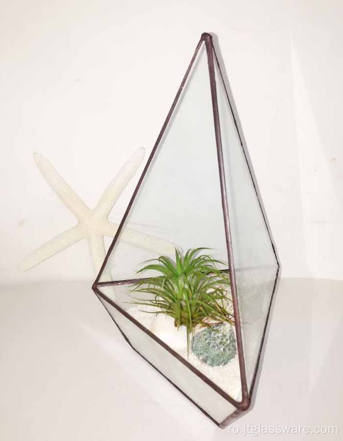 Cutie de jardiniera pătrată din sticlă în stil terariu