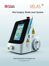 Vet Therapy Laser