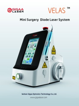 Vet Therapy Laser