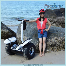 Two Wheeled Electric Pocket Bike