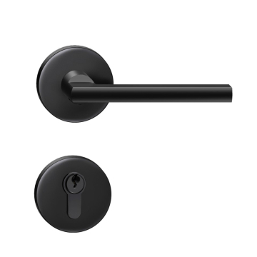 Split Lock Quiet Door Access