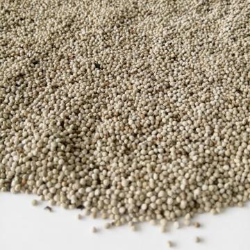 Perilla Seed Good quality