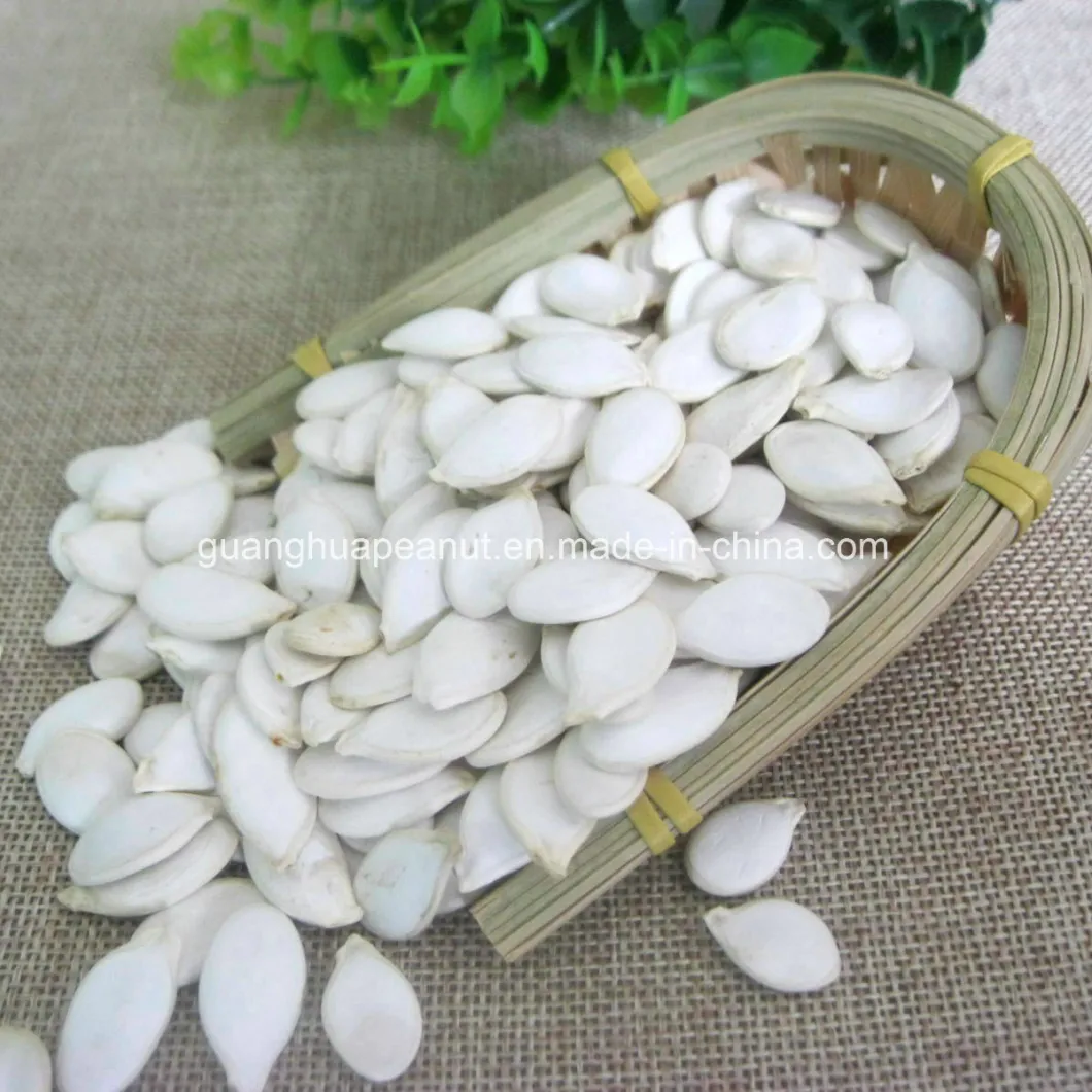 Good Quanlity European Standard Snow White Pumpkin Seeds