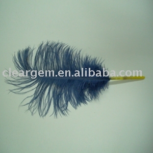 feather pen