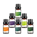 Therapeutic grade essential oil set bulk