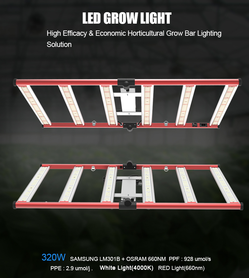 Lampu petani LM301B LED Plant Grow Light 320w