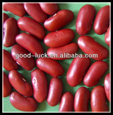 British Red Kidney Bean Factory, Dark Red Bean