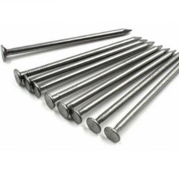 Polished Common Iron Nail Galvanized Steel Common Nail