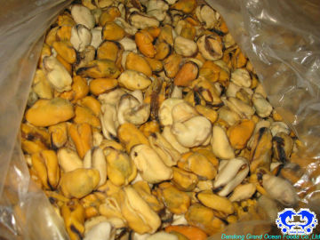 blue mussel meat seafood