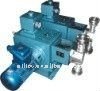 Stainless steel plunger metering pump