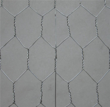1'' Hot-dip Galvanized Hexagonal Wire Nettings