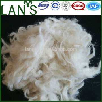 50S Washable Sheep Raw Wool