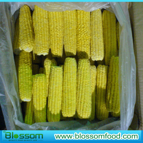 Frozen Sweet Corn