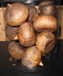 Control Blood Sugar of Single Black Garlic