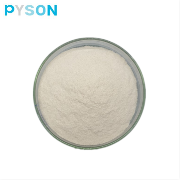 Chitosan-Pulver CAS 9012-76-4