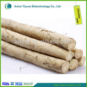 Chinese Yam Rhizoma Dioscoreae and Common Yam Rhizome