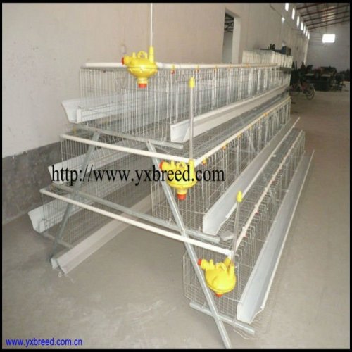 poultry battery cages with automatic water drinking system
