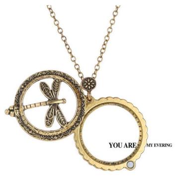 Antique long neck chain necklace with dragonfly pendant