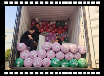 products update 2024 1 8