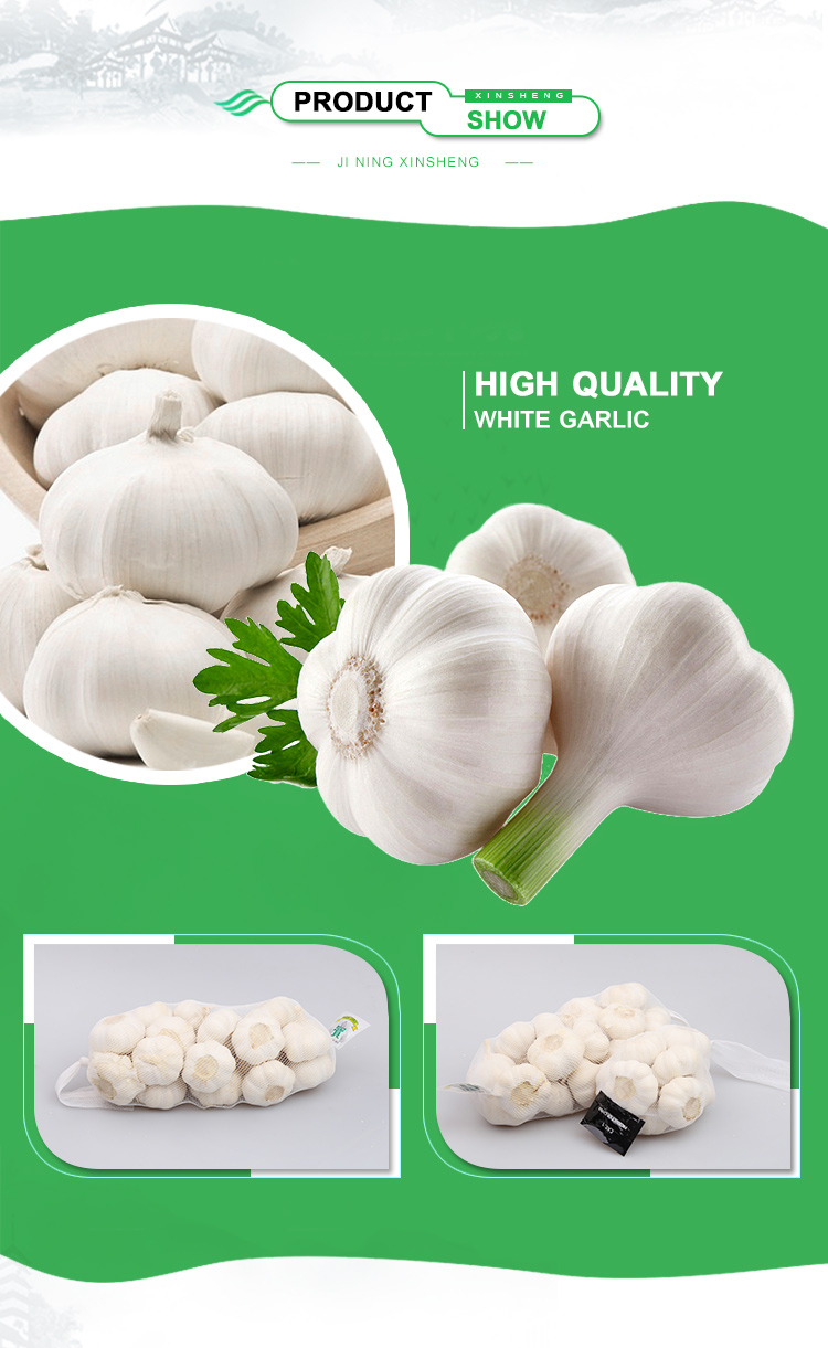 Pure white garlic