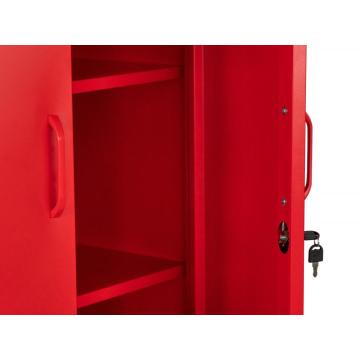 Customized Wardrobe Lockers with Feet for Home