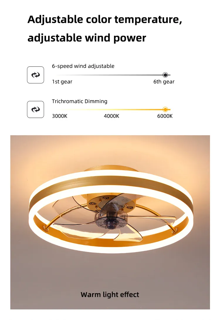 Modern Transparent Acrylic Ceiling Fan with Remote Control