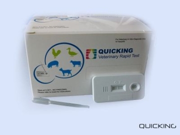 Avian Influenza Virus Ag rapid test kit (veterinary test)