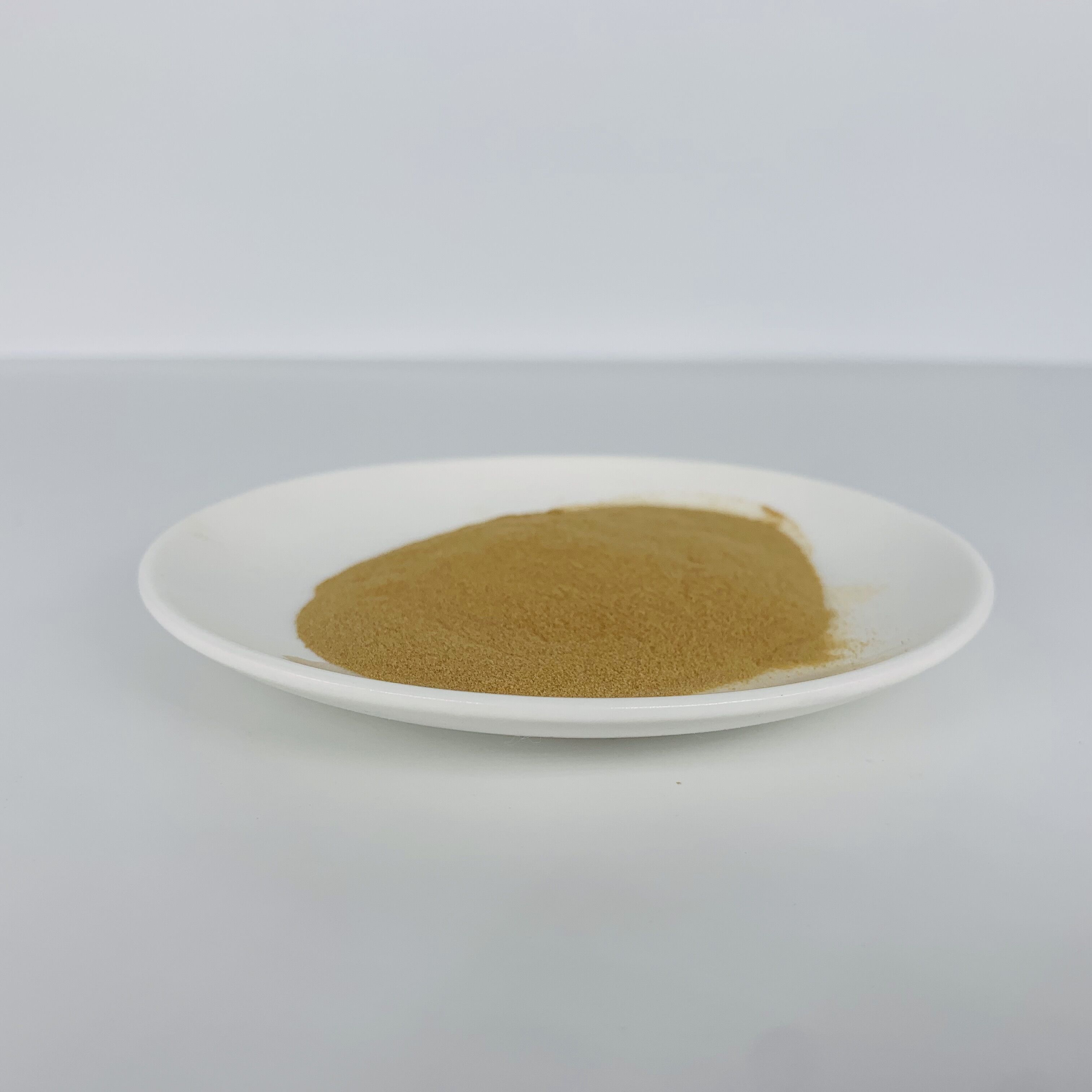 Cinnamon Extract Powder