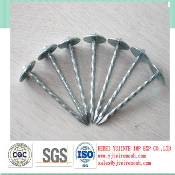 Electro galv anized roofing nails with size Bwg9x2.5"