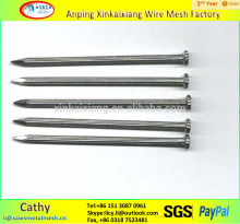 galvanized concrete nails from factory CHINA