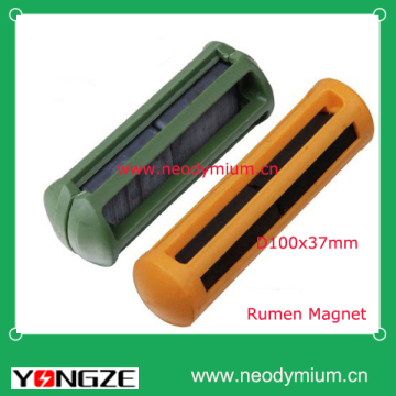 Rumen Magnet