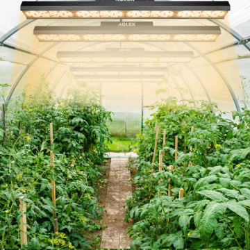 Линейный светодиодный светильник для выращивания растений в помещении