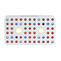 1000W COB LED crecer kit de luz espectro completo