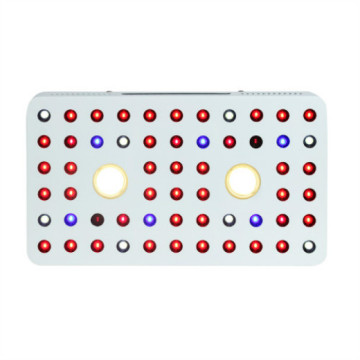 1000W COB LED crecer kit de luz espectro completo