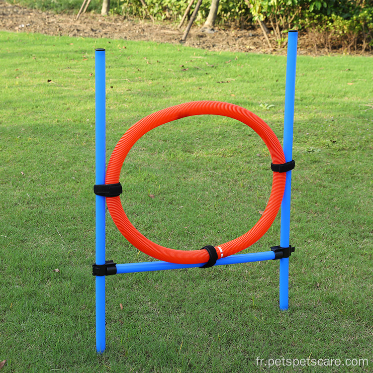 Pet Safe Bar Jump Agility Device Host Hurdle