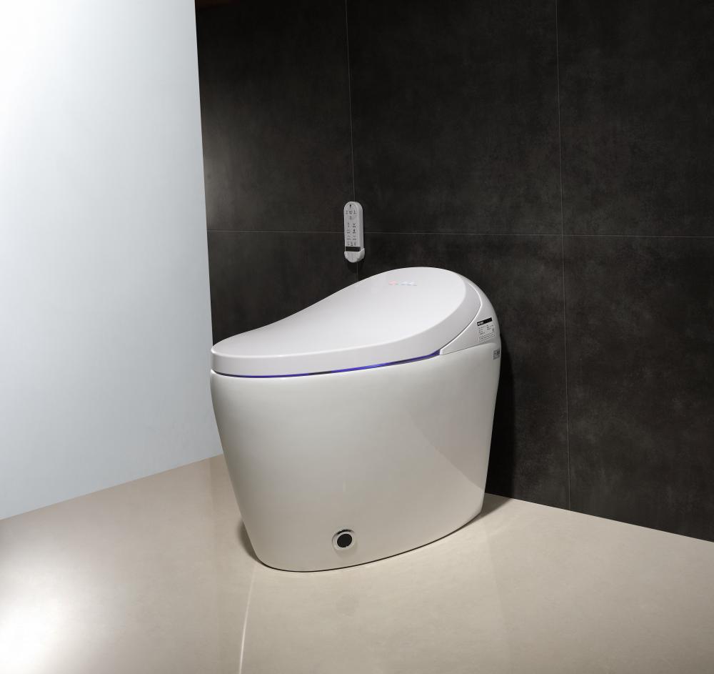 2205b Smart Toielt06