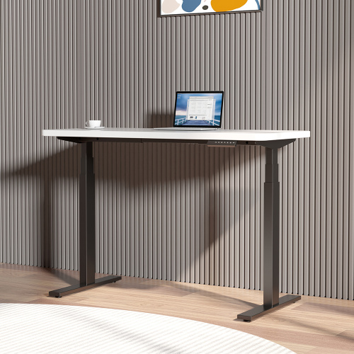 Office Electric Dual Motor Sit Stand Desk/Table