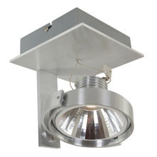 LED wall and ceiling spot light
