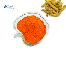 YXchuang turmeric Extract Curcumin