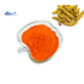 YXchuang Supply turmeric Extract Curcumin